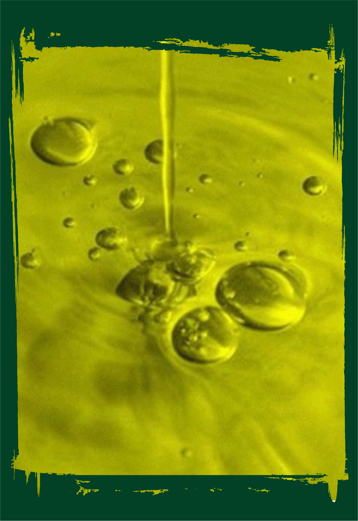 foto-olio-oliva